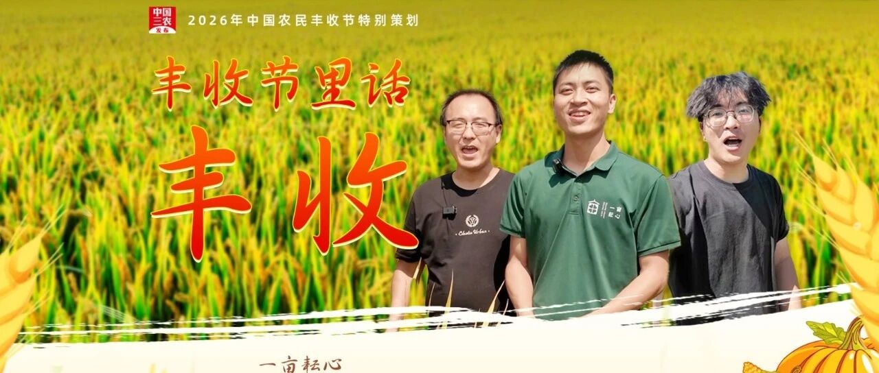 一亩耘心：丰收是土地给我们的最真实的馈赠｜丰收节里话丰收