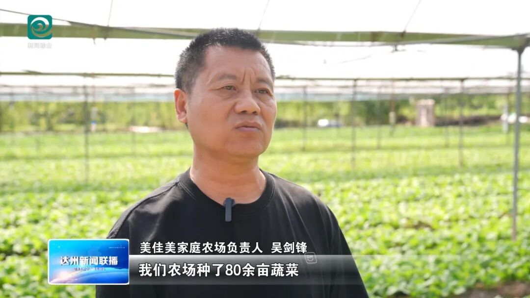 达川区：特色产业多点开花 绘就乡村振兴新图景