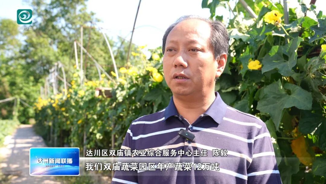 达川区：特色产业多点开花 绘就乡村振兴新图景