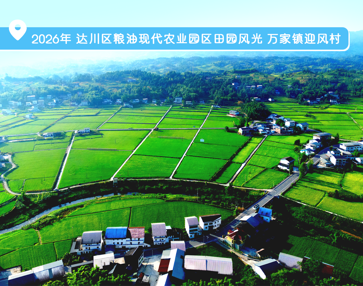 影像图鉴 | 一秒 “穿越”!见证达州拔节生长:乡村美如画,沃土绘振兴!·原文图片4