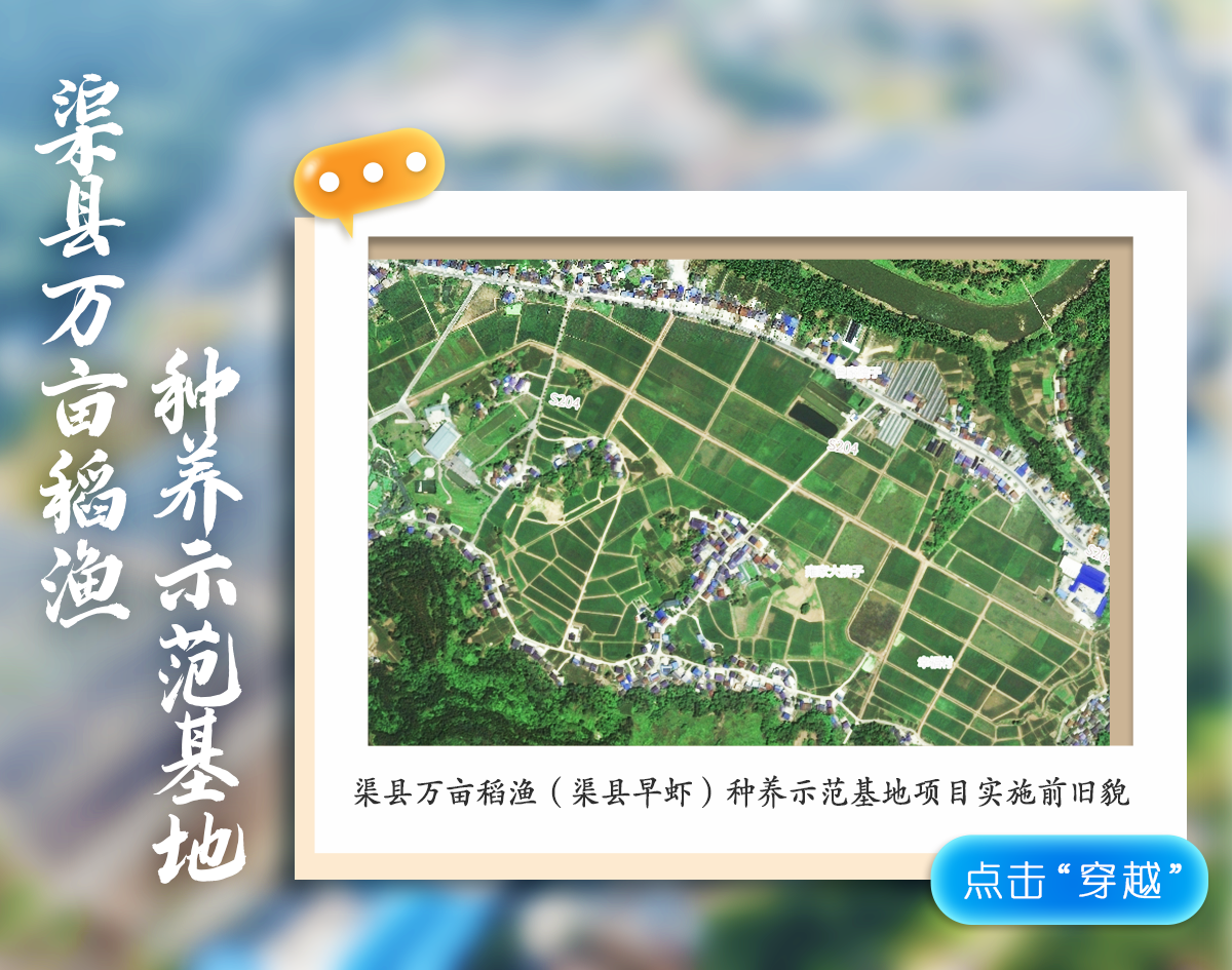 影像图鉴 | 一秒 “穿越”!见证达州拔节生长:乡村美如画,沃土绘振兴!·原文图片15