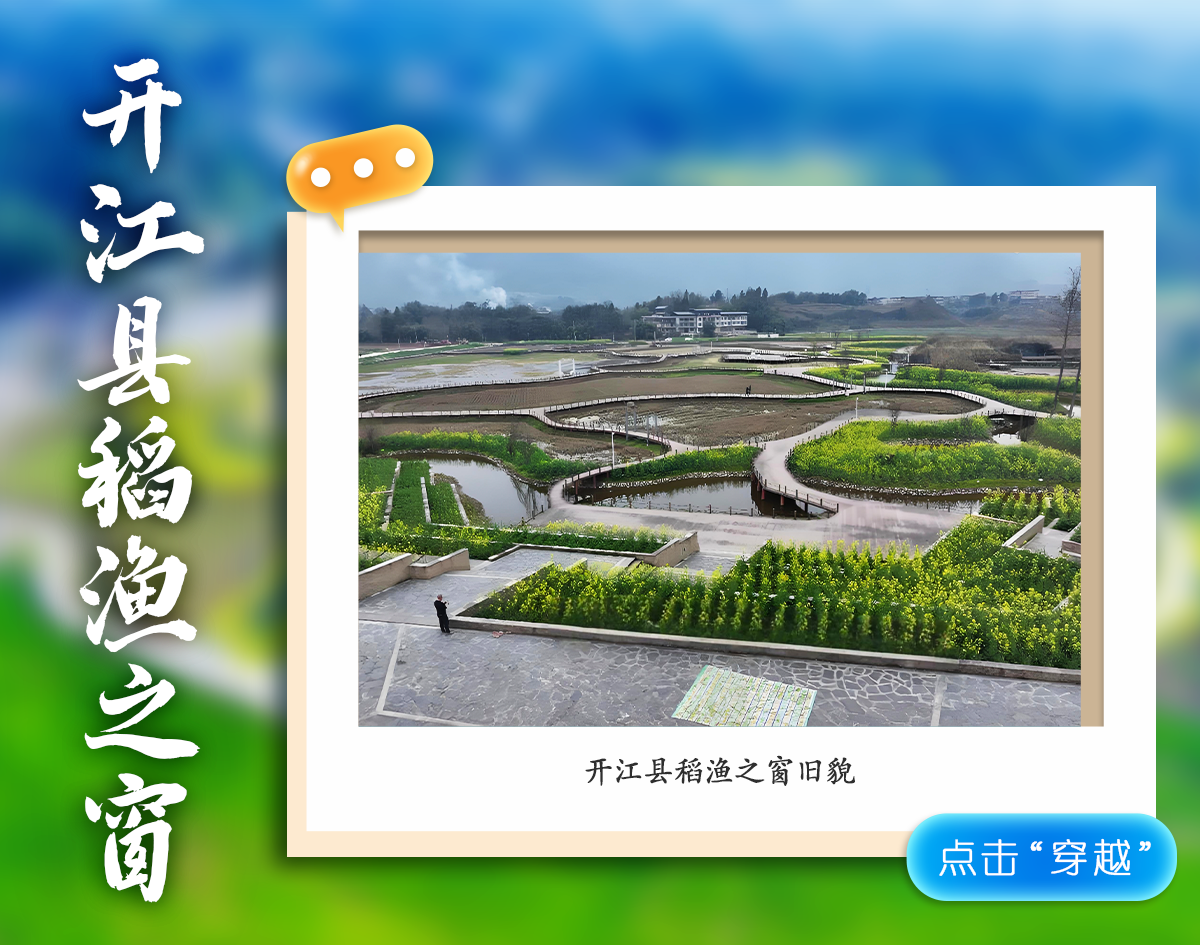 影像图鉴 | 一秒 “穿越”!见证达州拔节生长:乡村美如画,沃土绘振兴!·原文图片17