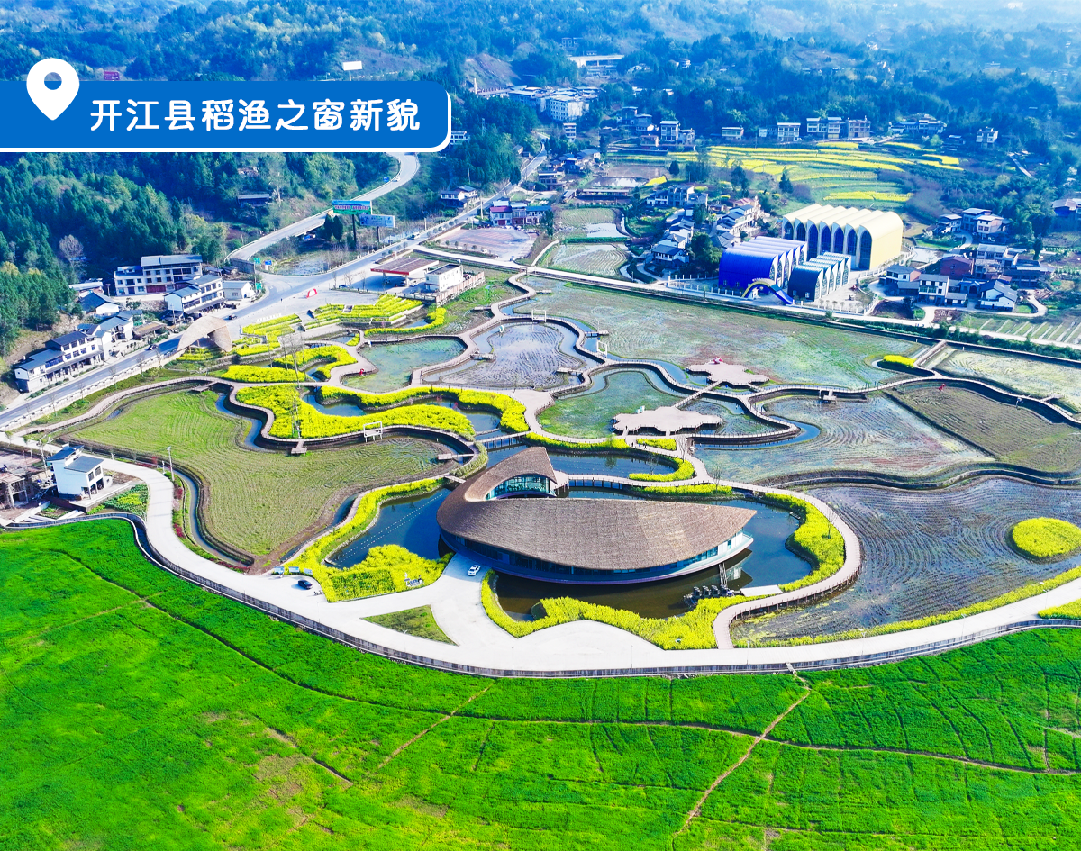 影像图鉴 | 一秒 “穿越”!见证达州拔节生长:乡村美如画,沃土绘振兴!·原文图片18