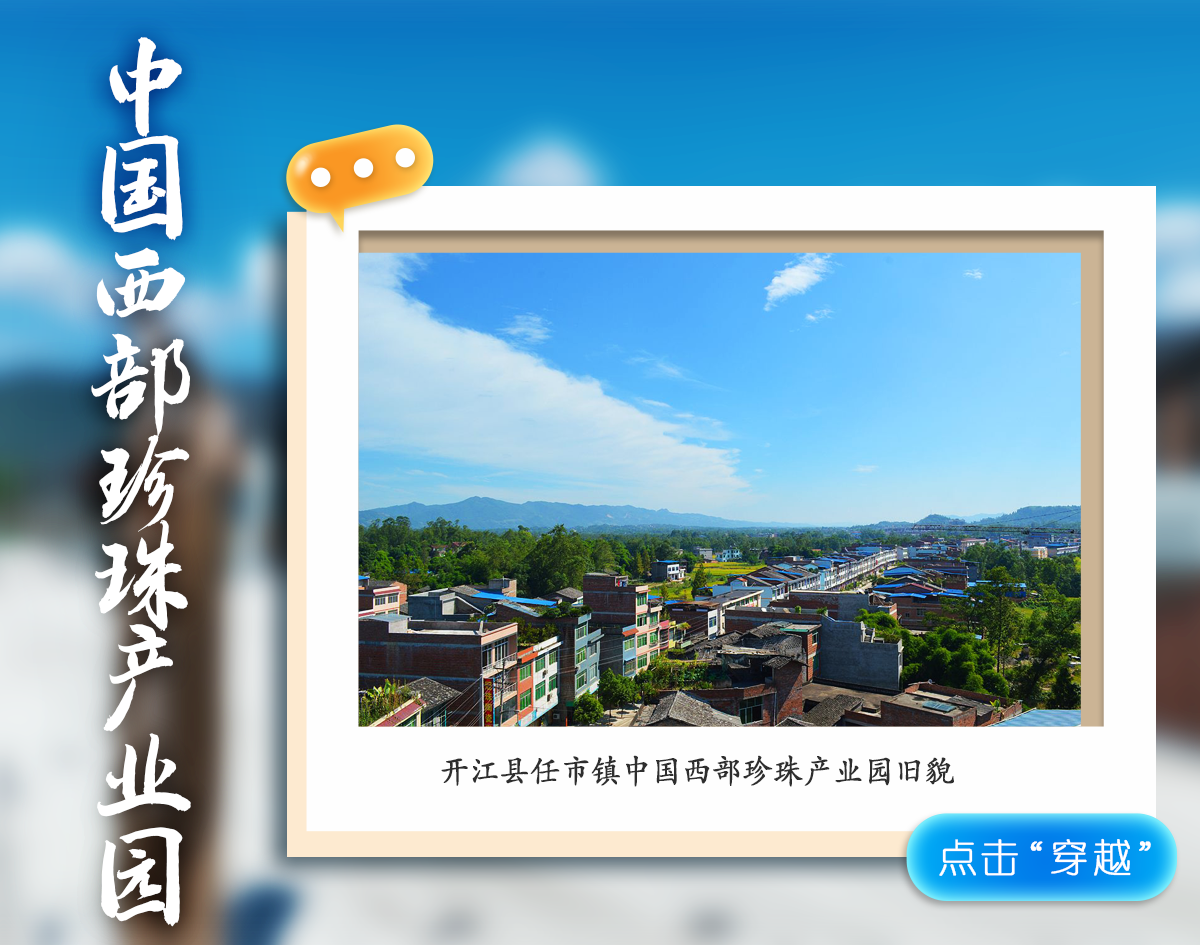 影像图鉴 | 一秒 “穿越”!见证达州拔节生长:乡村美如画,沃土绘振兴!·原文图片19