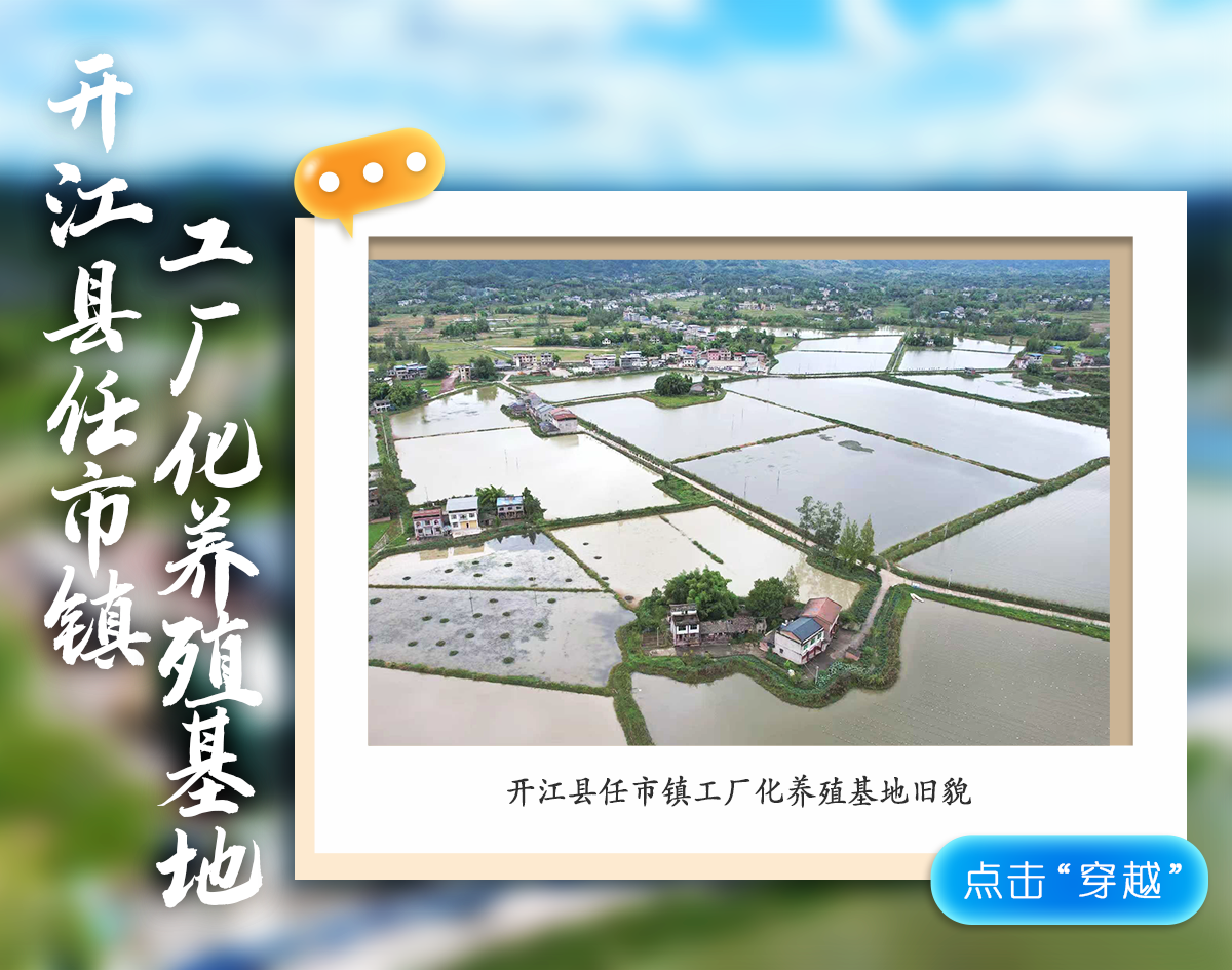 影像图鉴 | 一秒 “穿越”!见证达州拔节生长:乡村美如画,沃土绘振兴!·原文图片21