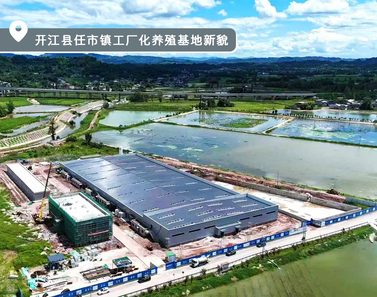 影像图鉴 | 一秒 “穿越”!见证达州拔节生长:乡村美如画,沃土绘振兴!·原文图片22