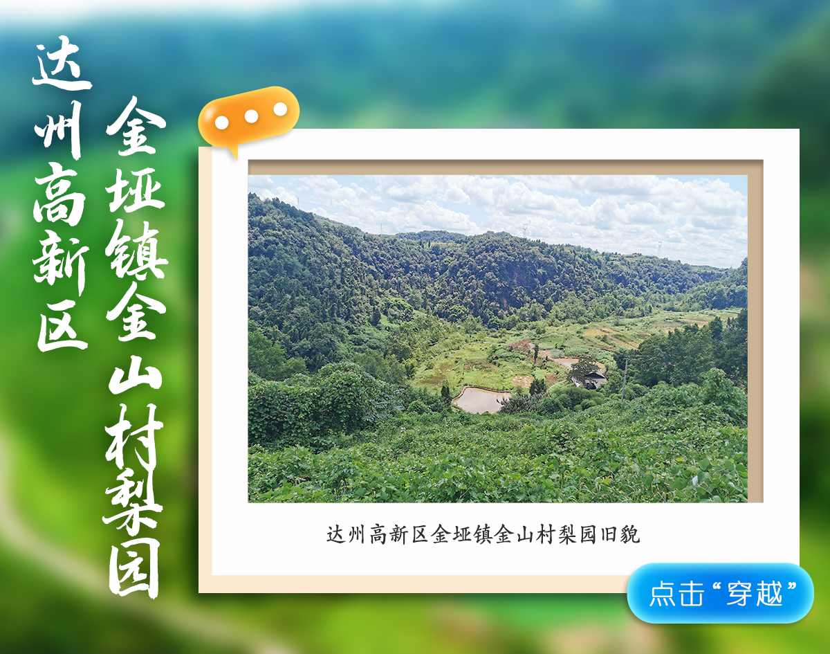 影像图鉴 | 一秒 “穿越”!见证达州拔节生长:乡村美如画,沃土绘振兴!·原文图片23