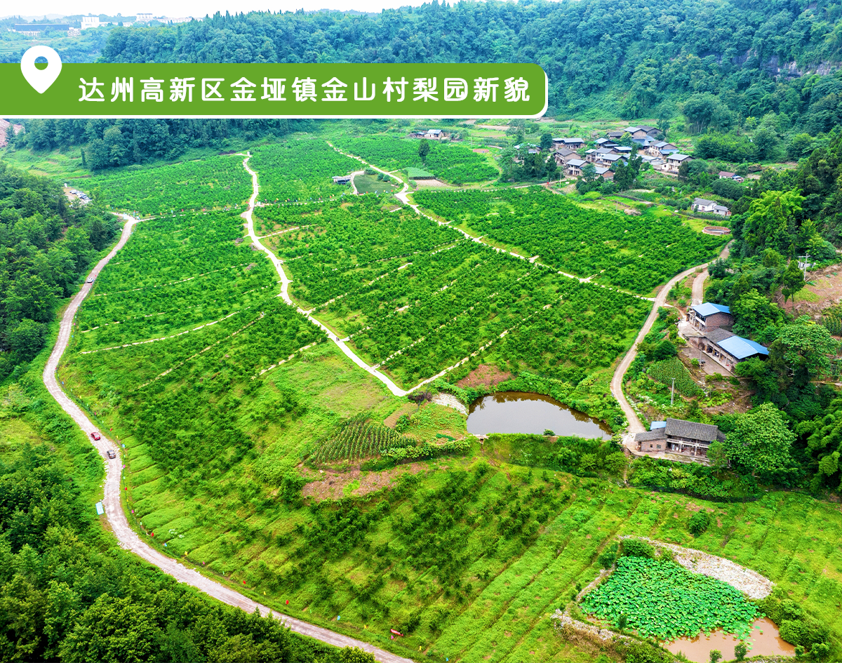 影像图鉴 | 一秒 “穿越”!见证达州拔节生长:乡村美如画,沃土绘振兴!·原文图片24