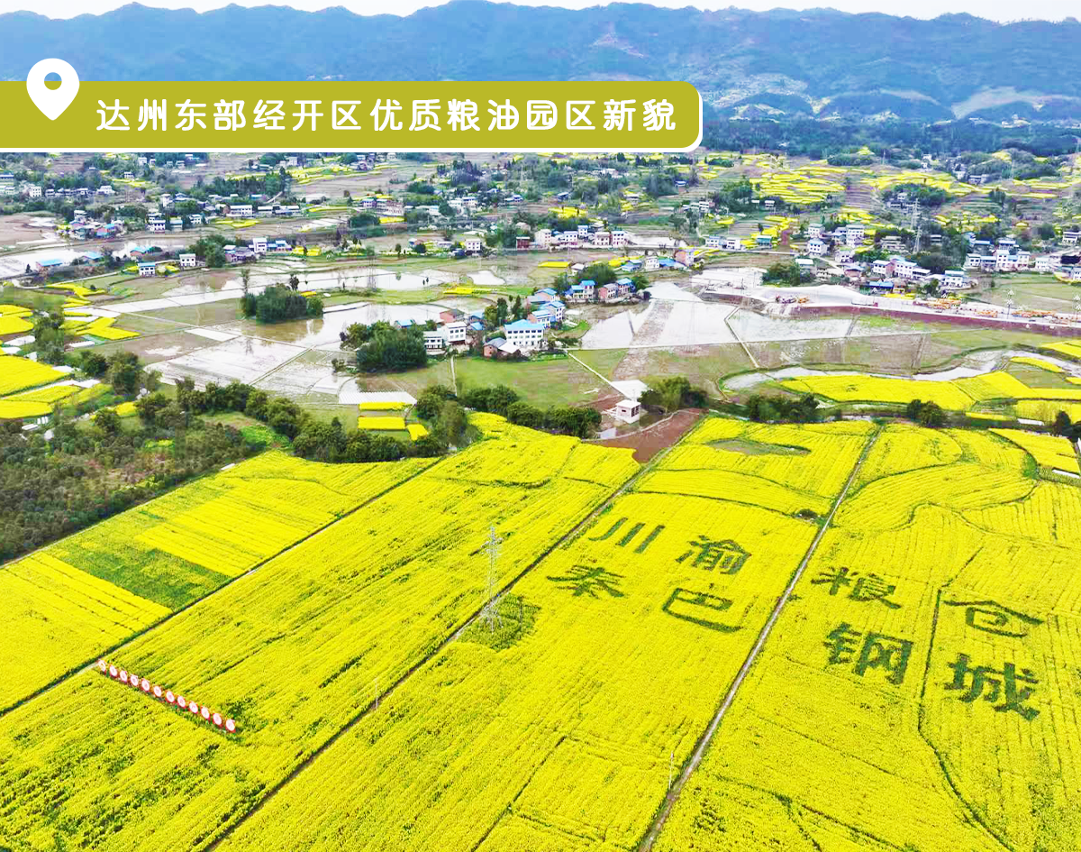 影像图鉴 | 一秒 “穿越”!见证达州拔节生长:乡村美如画,沃土绘振兴!·原文图片26