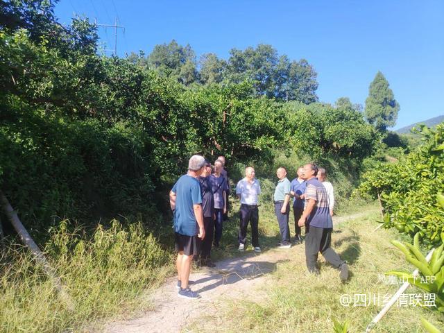 半世耕耘传薪火 柑甜满山振兴路——宣汉县滑山果场从荒山到百亩产业带的蝶变纪实·原文图片10
