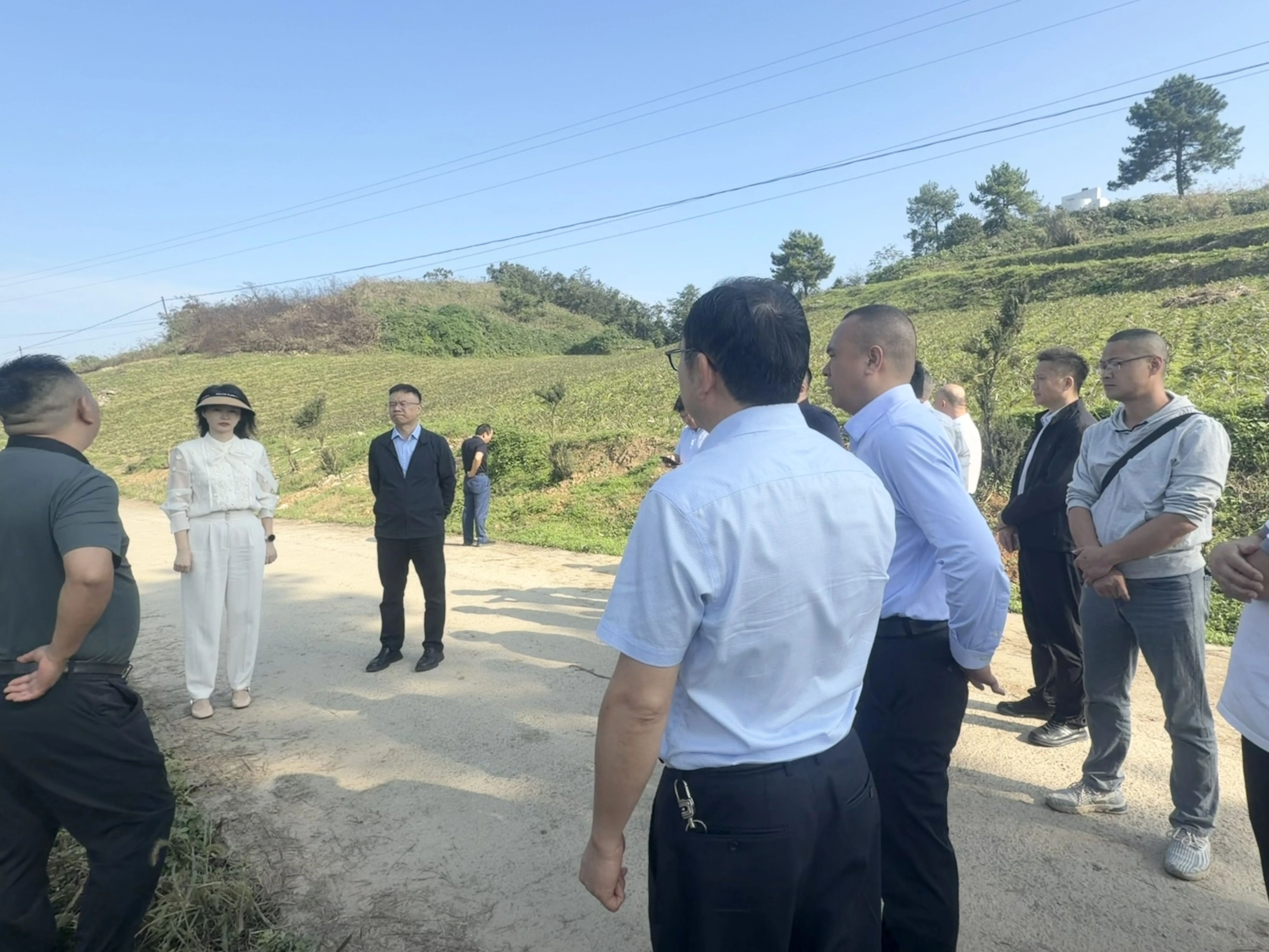 以品牌引领之势 谱蔬菜产业新篇——2026年全市有机蔬菜产业推进会在大竹召开