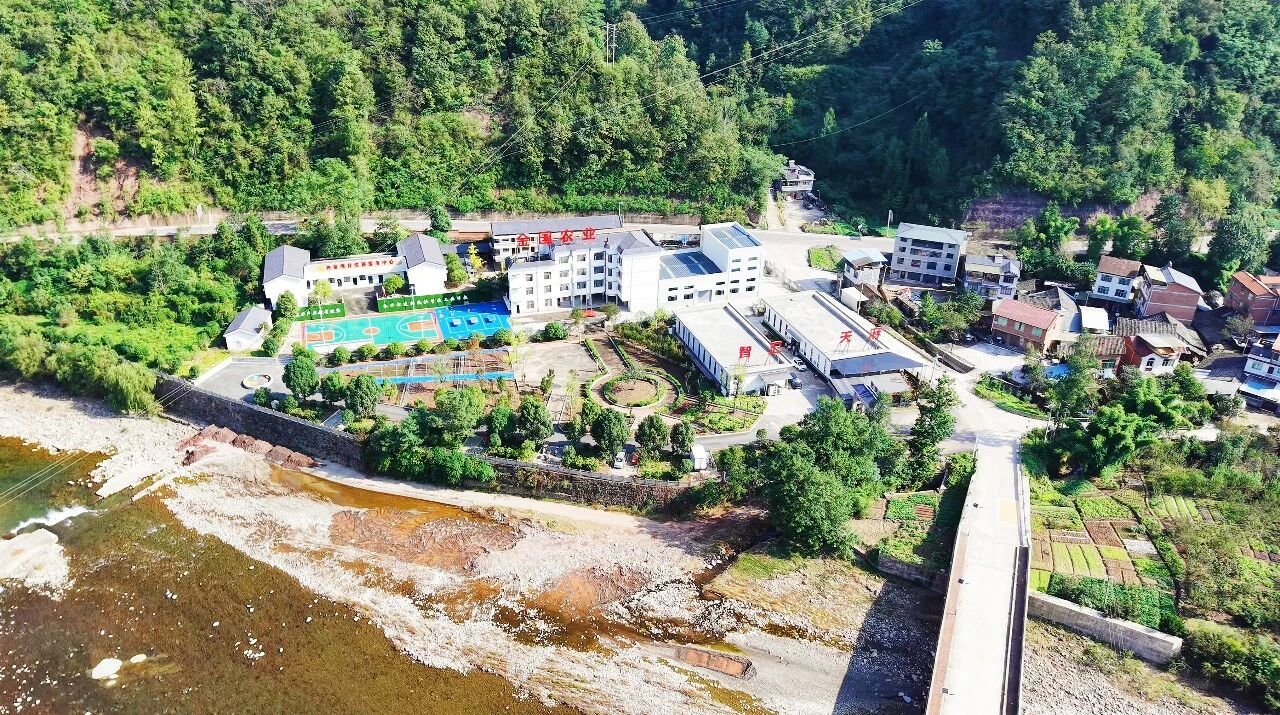 林下生金!万源1.8万亩天麻开挖,生态富民交出“两山”新答卷·原文图片5