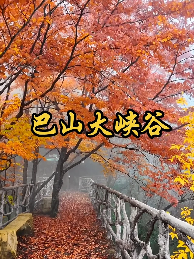 巴山大峡谷秋色