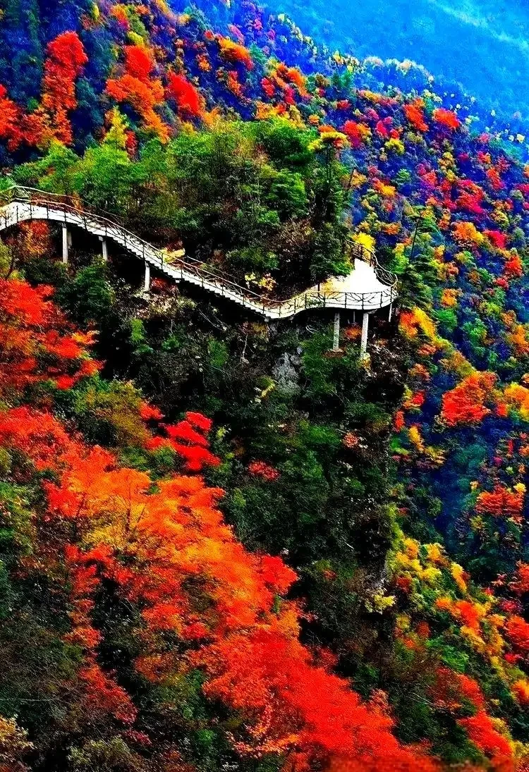 巴山大峡谷山间栈道