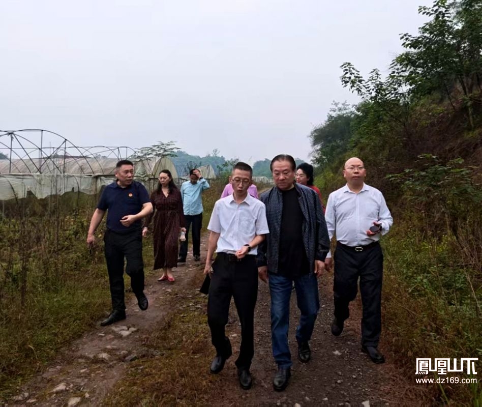 多方聚力调研达川区蔬菜主题公园劳动实践教育基地 共探劳动教育、拥军创业与乡村振兴融合新路径·原文图片1
