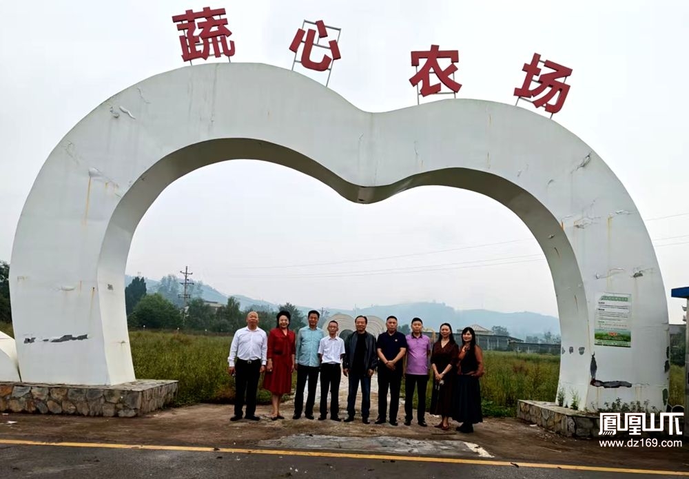 多方聚力调研达川区蔬菜主题公园劳动实践教育基地 共探劳动教育、拥军创业与乡村振兴融合新路径·原文图片2