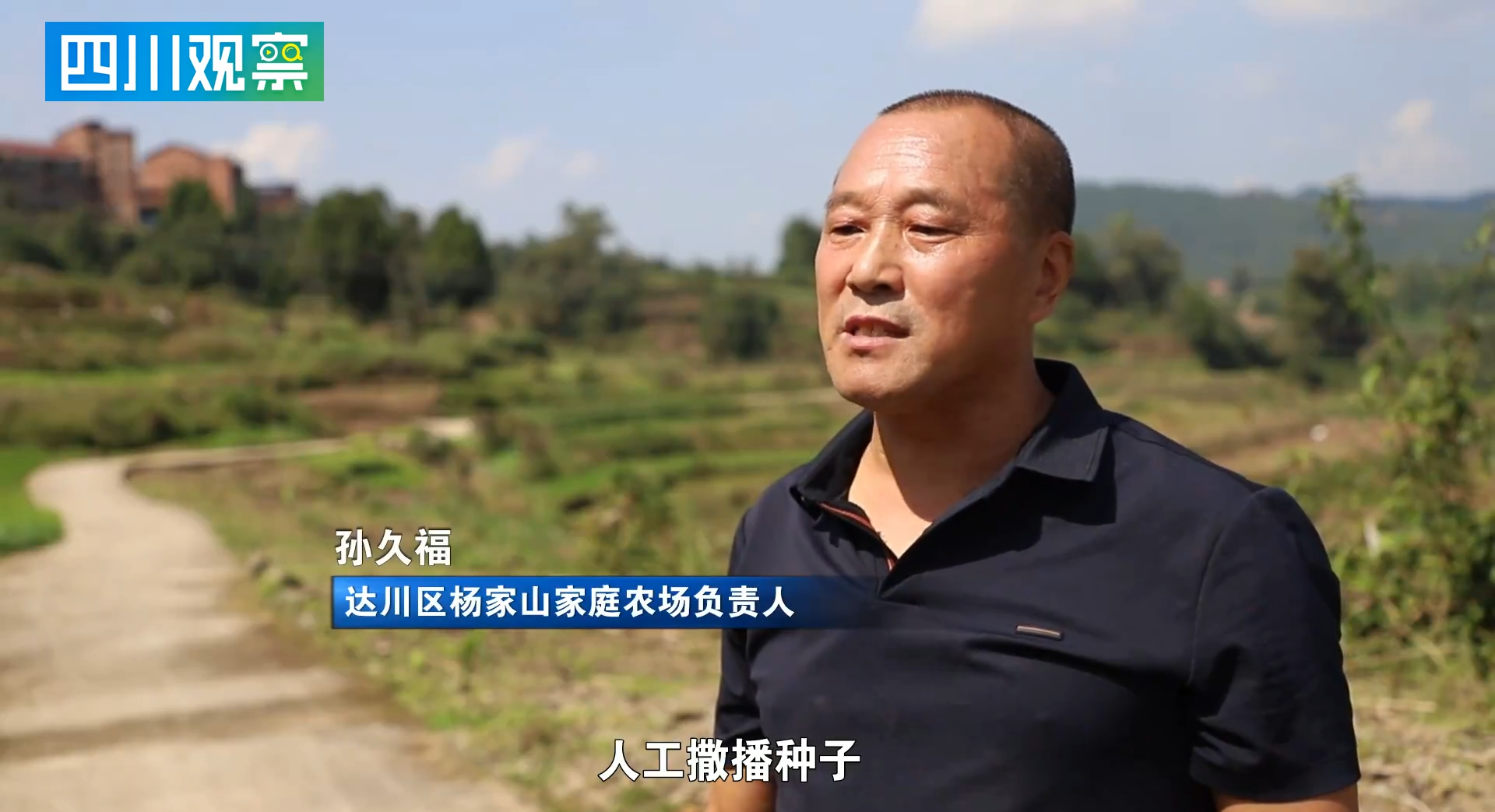 省媒报道丨达川油菜直播有了“全能机” 翻耕施肥播种一趟搞定 !·原文图片2