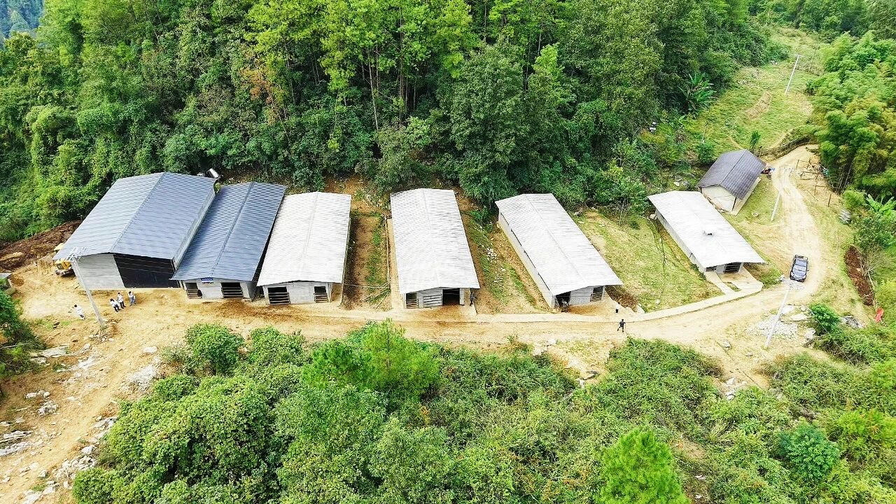 万源:山海协作助振兴,生态产业铺富路·原文图片1