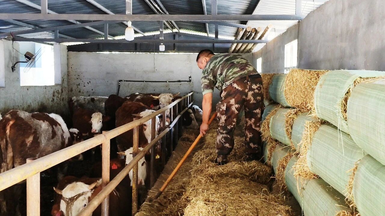 万源:山海协作助振兴,生态产业铺富路·原文图片5