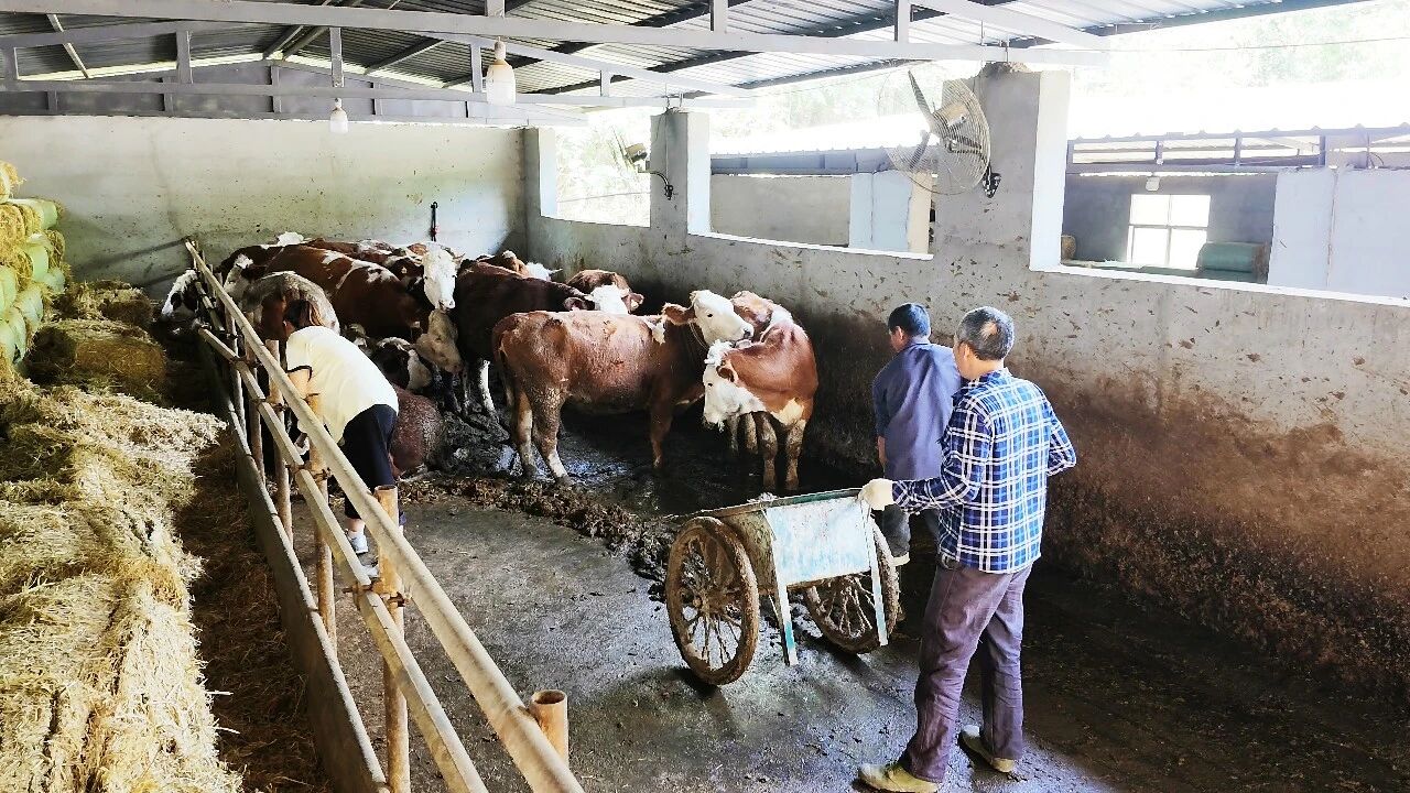 万源:山海协作助振兴,生态产业铺富路·原文图片7