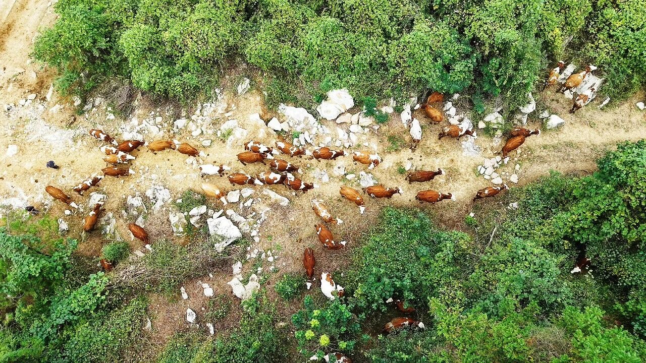 万源:山海协作助振兴,生态产业铺富路·原文图片8