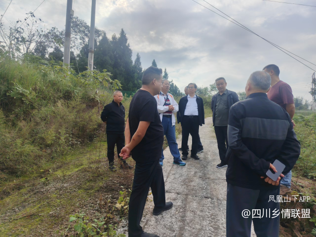 【乡村振兴】宣汉县农技专家下沉田间送良方 精准赋能君塘镇柑橘产业提质增效·原文图片2