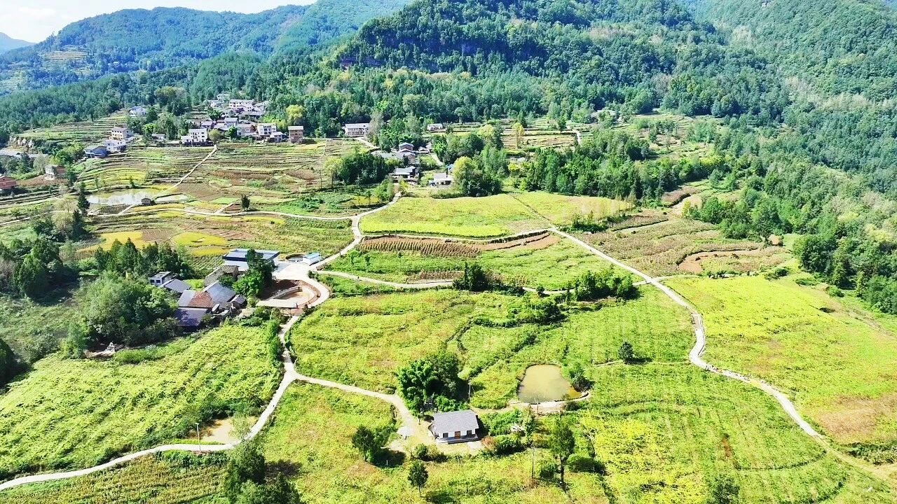 护生态、稳产业、促增收,万源瓜蒌串起“两山”转化链·原文图片11