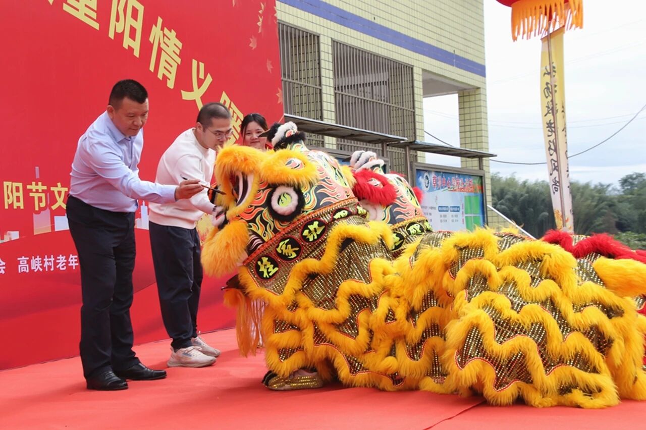 金狮焕彩
