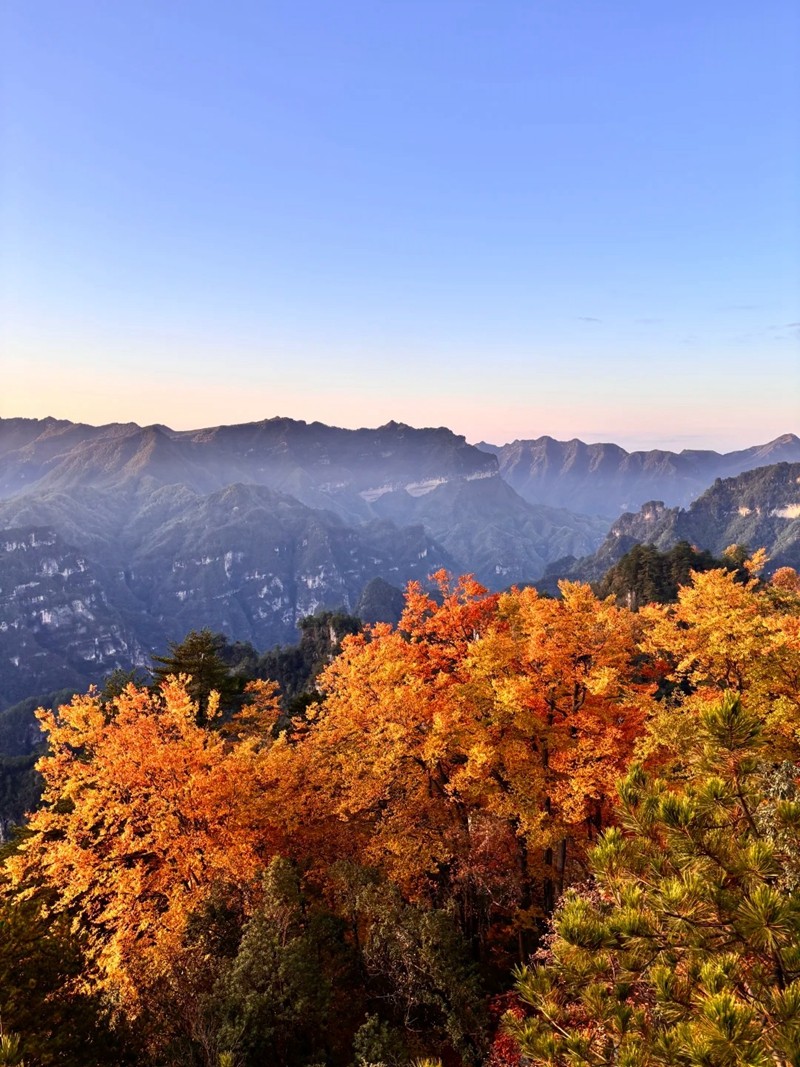 光雾山燕子岭山色