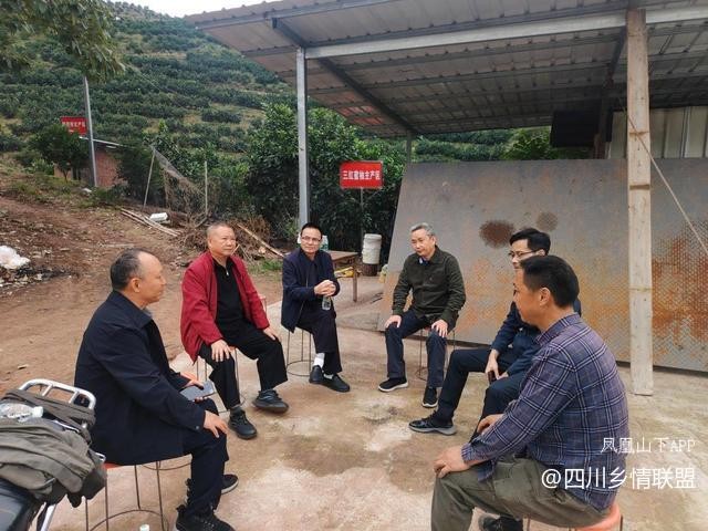 宣汉县果技专家柑橘秋冬管护现场