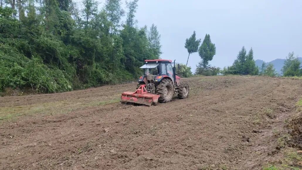 小春生产现场