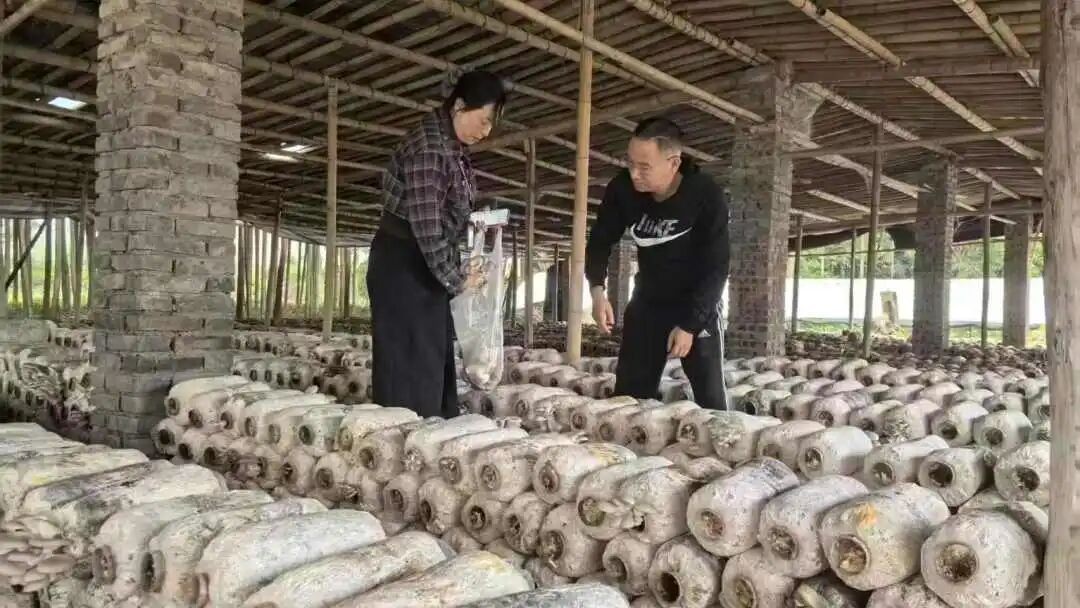 农产品质量抽样检测