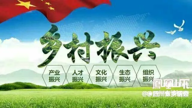 【乡村振兴】农技培训送干货 产业发展添动力——宣汉县峰城镇赋能粮油产业高质量发展