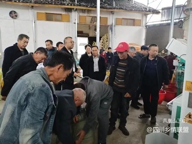 【乡村振兴】农技培训送干货 产业发展添动力——宣汉县峰城镇赋能粮油产业高质量发展