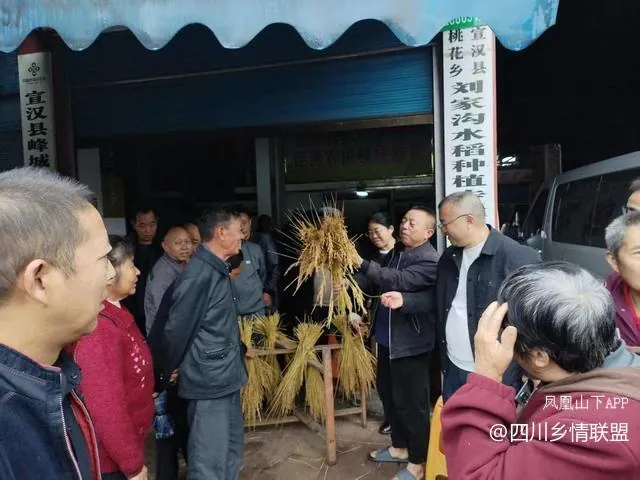 【乡村振兴】农技培训送干货 产业发展添动力——宣汉县峰城镇赋能粮油产业高质量发展
