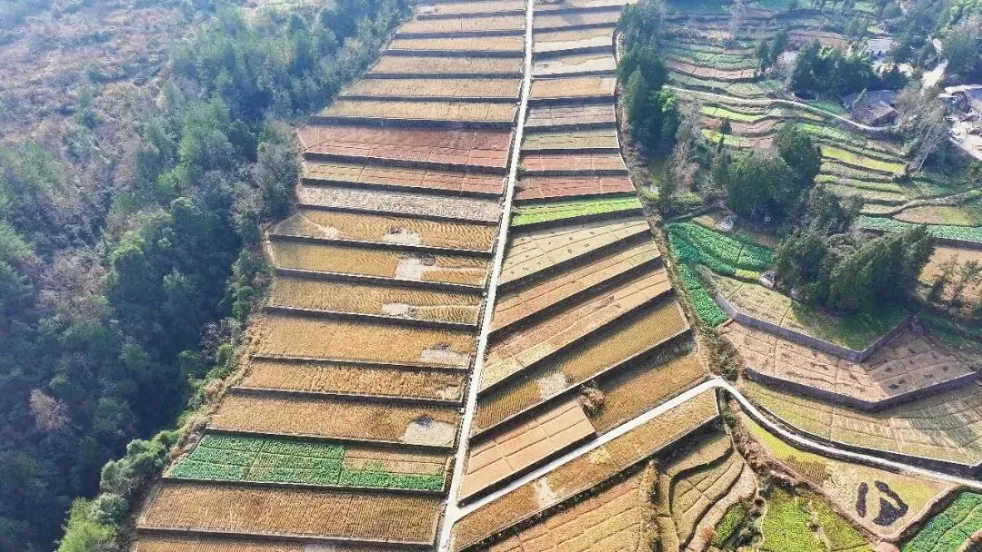 万源罐儿饭:一罐“硒”香,铺就乡村振兴致富路资料第13页