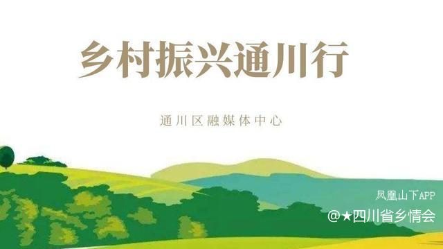 酵素大米:达州市香宁种植专业合作社