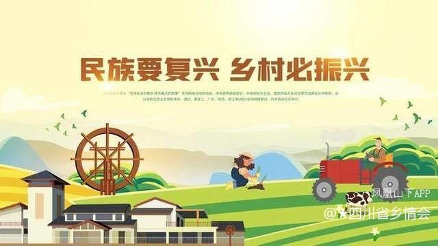 达州市宏范农业开发公司——明月江街道红岩村的蓝莓成熟啦！