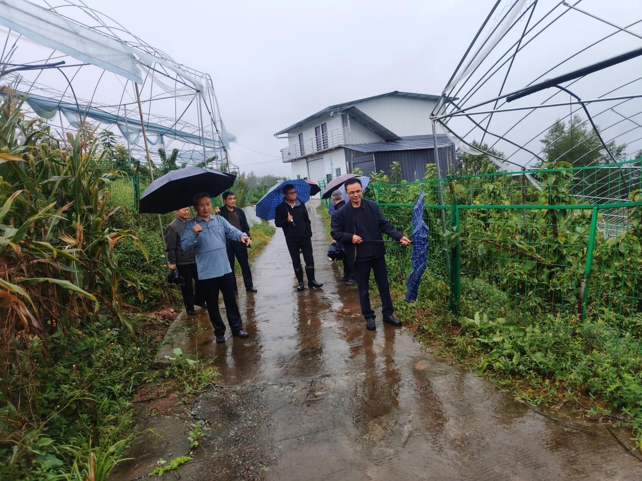 银龄赋能助丰收 科技护航促振兴——宣汉县老科协深入峰城镇开展农业技术服务工作