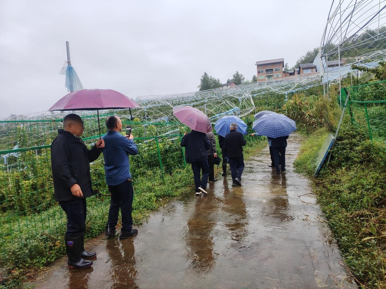 银龄赋能助丰收 科技护航促振兴——宣汉县老科协深入峰城镇开展农业技术服务工作