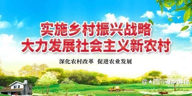 银龄赋能助丰收 科技护航促振兴——宣汉县老科协深入峰城镇开展农业技术服务工作